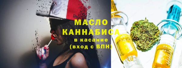 ECSTASY Горняк