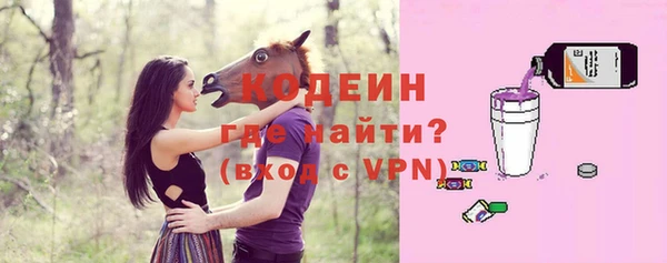 ECSTASY Горняк