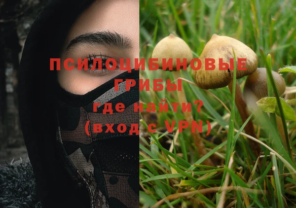 мяу мяу мука Горно-Алтайск