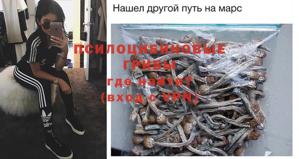 стаф Верхний Тагил