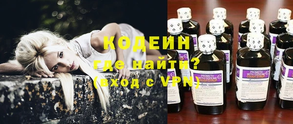 ECSTASY Горняк